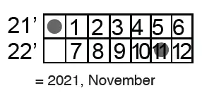 SKYTECH-5301-Timer-Thermostat-Fireplace-Remote-Control-20