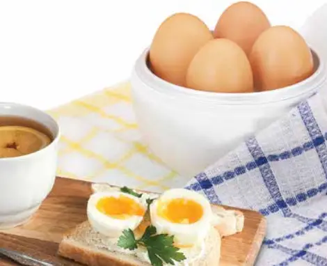 eggfecto 30611 Microwave Egg Cooker A2