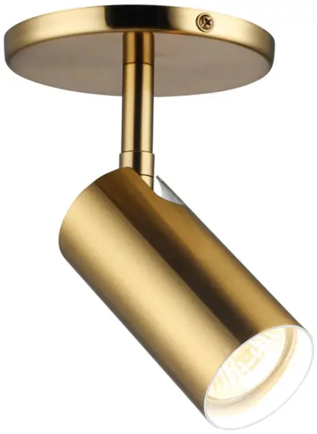 Dainolite STY-71SPT One Light Spotlight