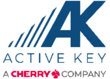 ACTIVE KEY logo