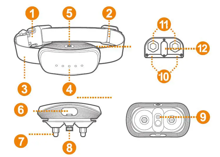 Electric-Collars-TC-005-Anti-Barking-Collars-FIG-12