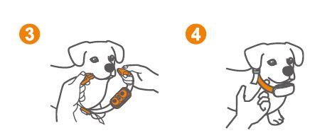 Electric-Collars-TC-005-Anti-Barking-Collars-FIG-32