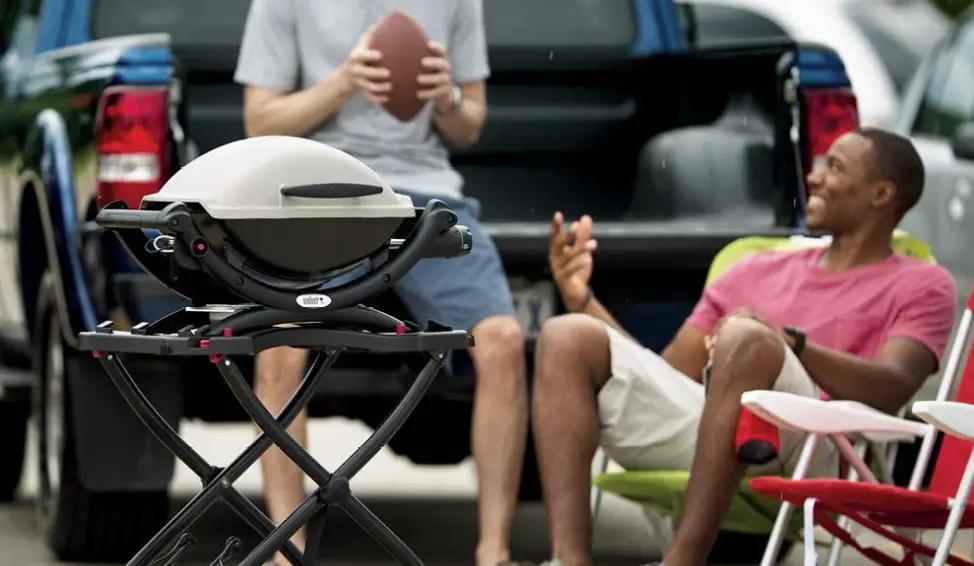 Weber Q1000 Liquid Propane Grill User Guide