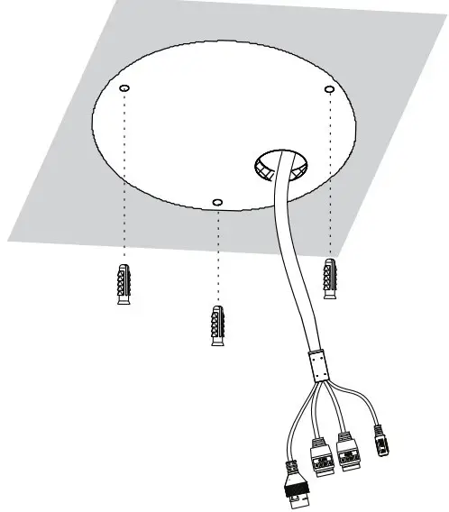Ceiling-mounted cameras