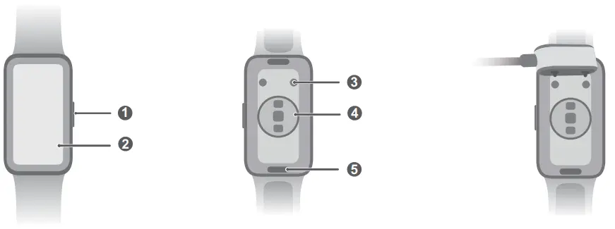 HUAWEI ASK B19 Band 8 Smart Watch - Charging